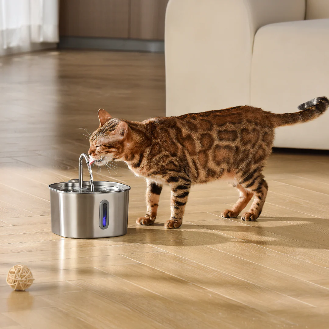 The KittySpout™ - 2.2L Fountain 2–month Kit - Image 3