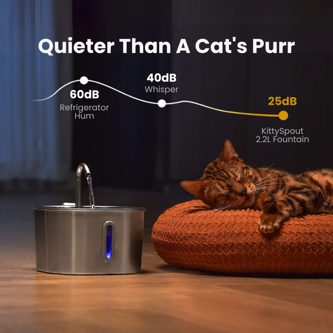 The KittySpout™ - 2.2L Fountain 2–month Kit - Image 4