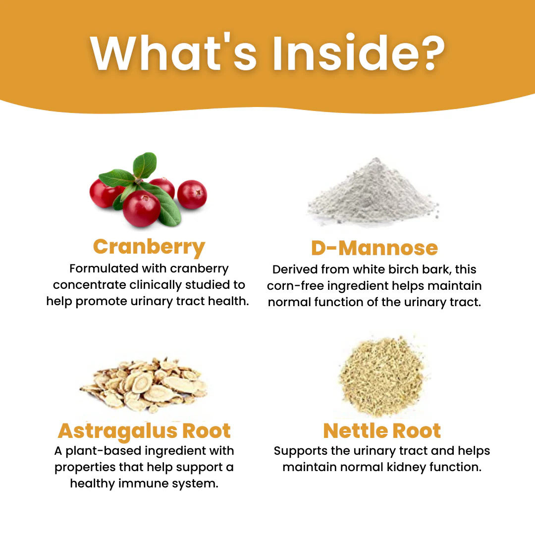 All In One Supplement Bundle - Image 4