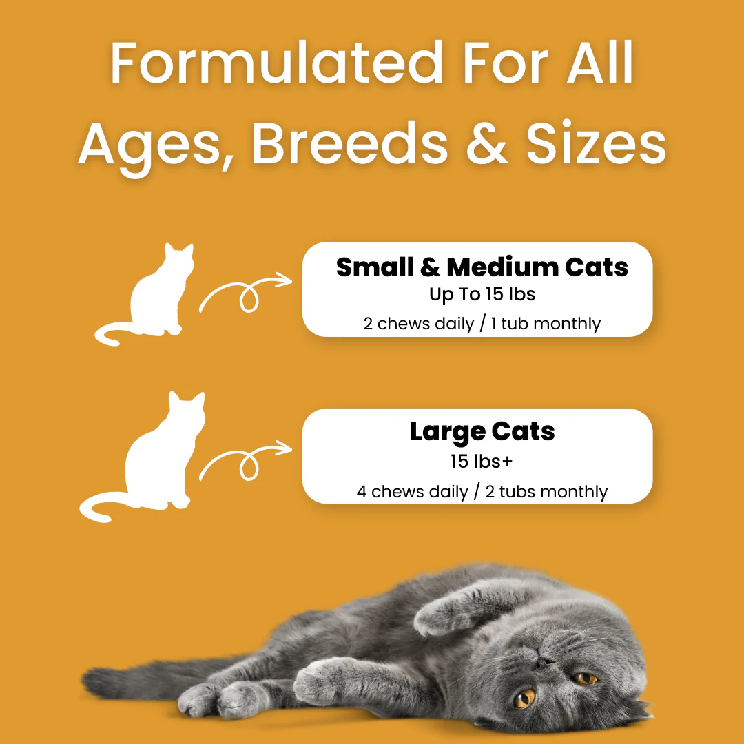 All In One Supplement Bundle - Image 6