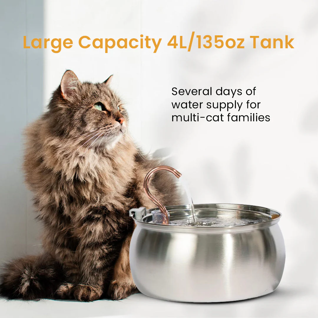The Purrr-fect KittySpout Kit - Image 12