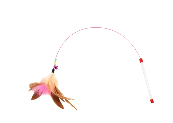 Free Cat Toy