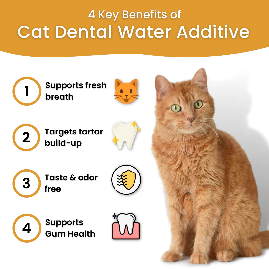 Hydration & Health Bundle - Image 5