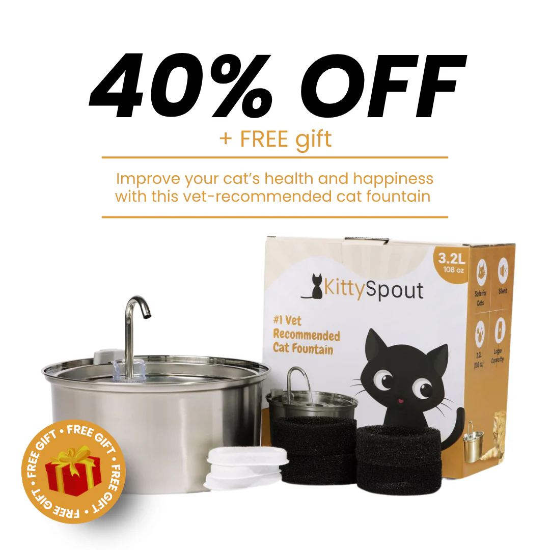 The KittySpout™ - Health & Happiness Cat Kit - Image 2