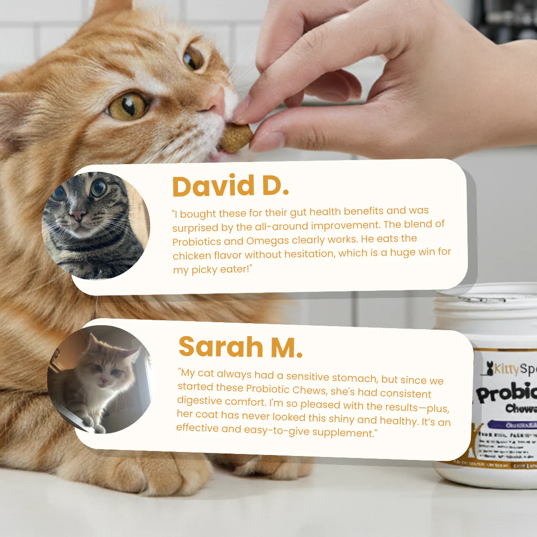 Probiotic Chews For Cats - Image 9
