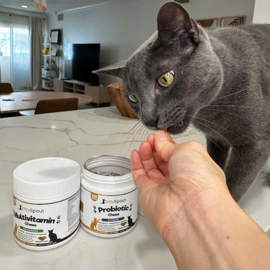 KittyTreats⁺ — Healthy Cat Treats - Image 3