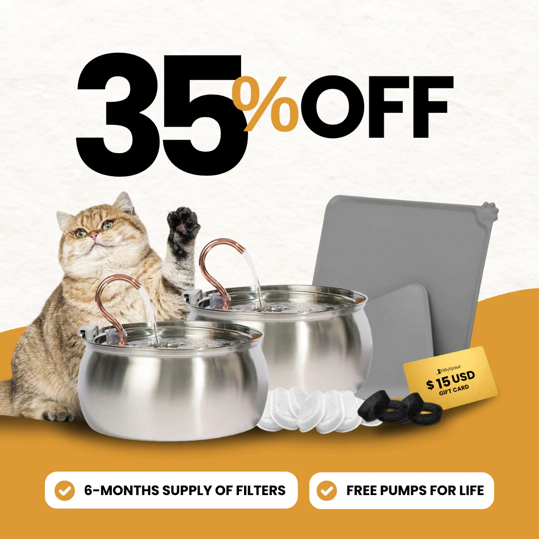 Like New Big Cat Family Bundle - 4L / 4L - Image 19