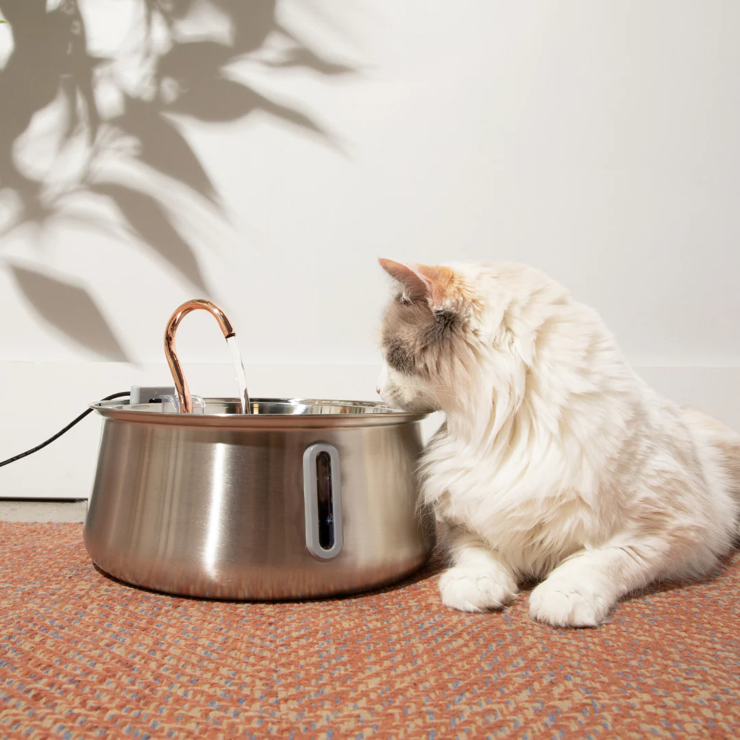 Like New The KittySpout 2.0 - Health & Happiness Cat Kit - 2 Month: KittySpout + 4 filter sets + AC adapter - Image 10
