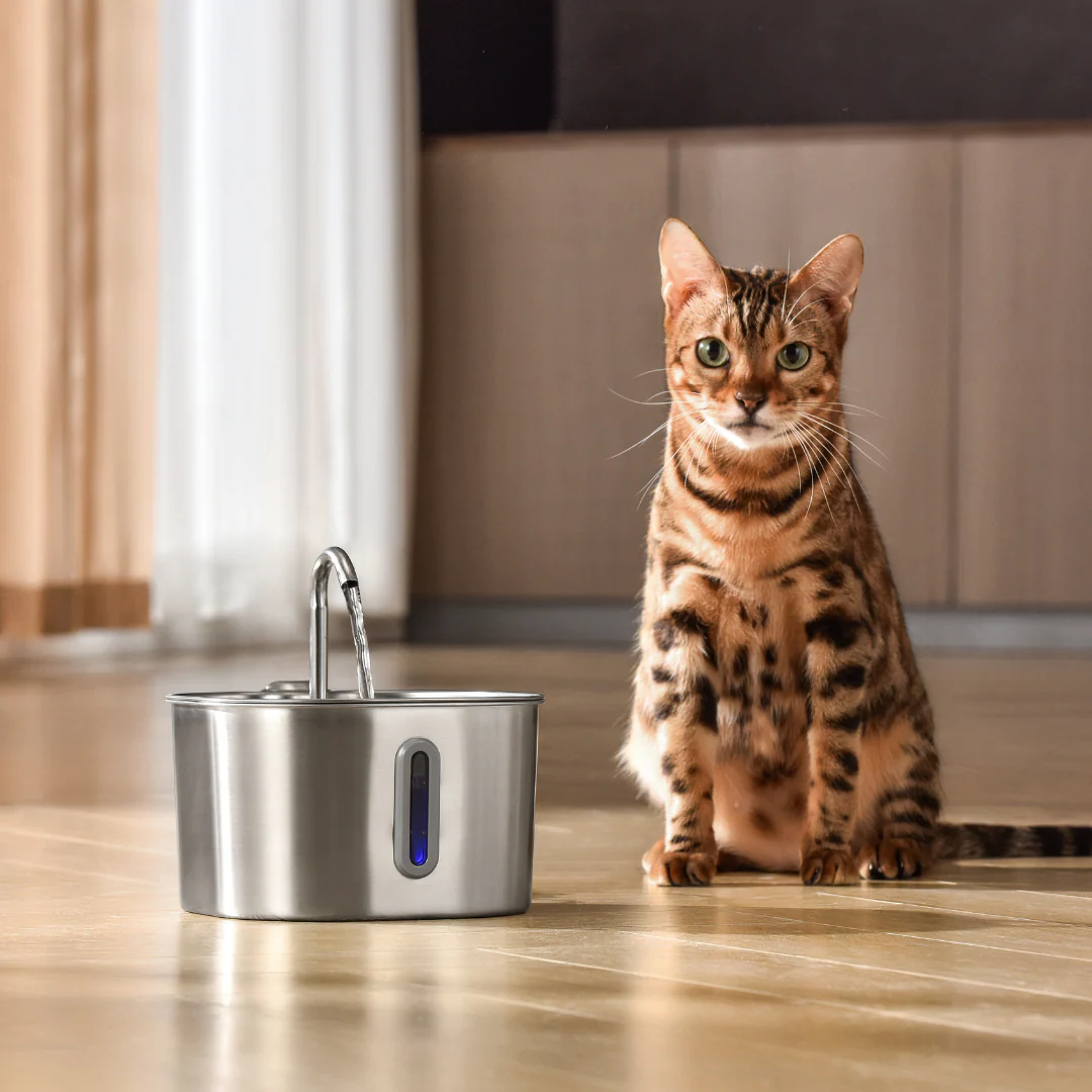 Like New The KittySpout - Health & Happiness Cat Kit (2.2L) - 2 Month: KittySpout + 4 filter sets + AC adapter - Image 10
