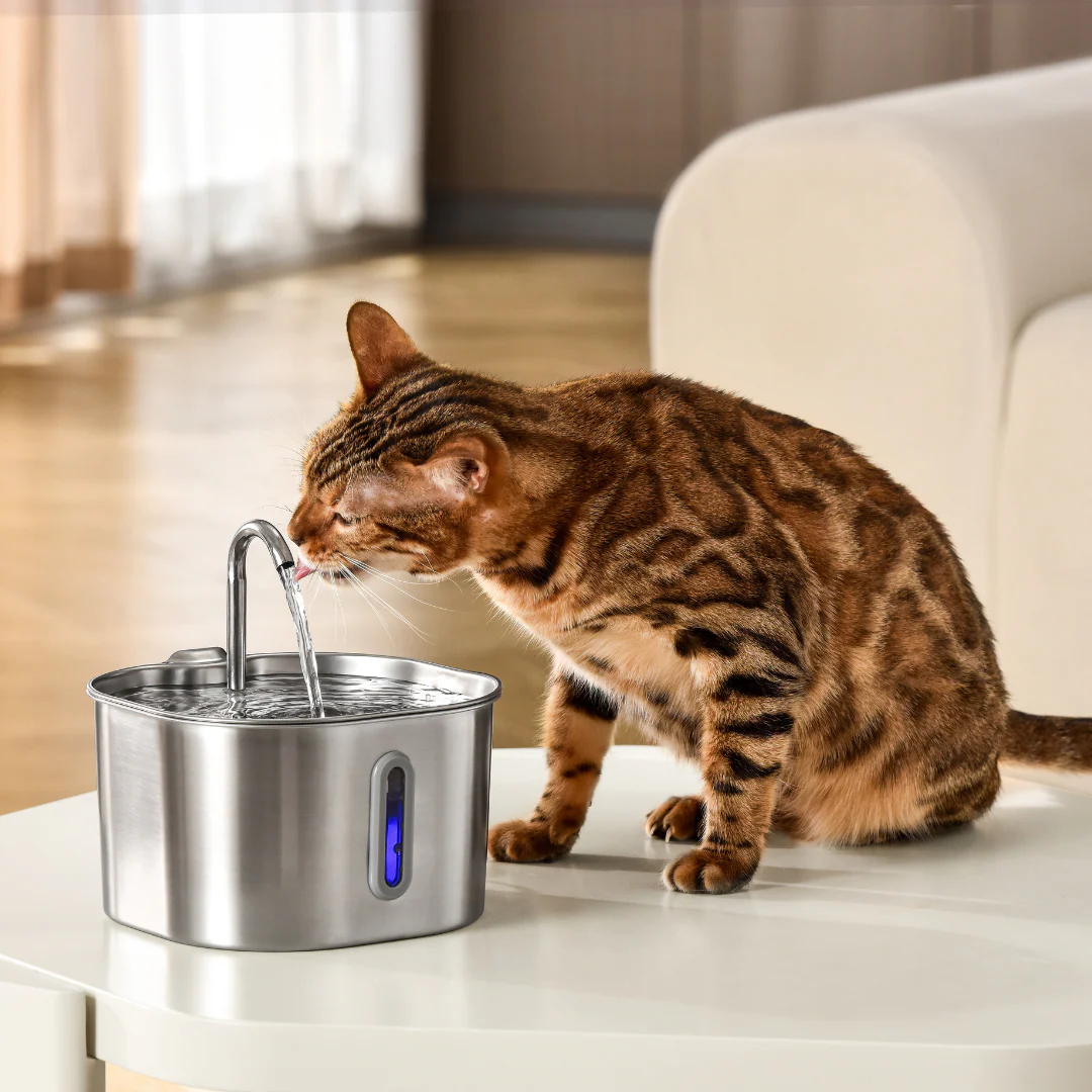 Like New The KittySpout - Health & Happiness Cat Kit (2.2L) - 4 Month: KittySpout + 8 filter sets + AC adapter + FREE gift - Image 6