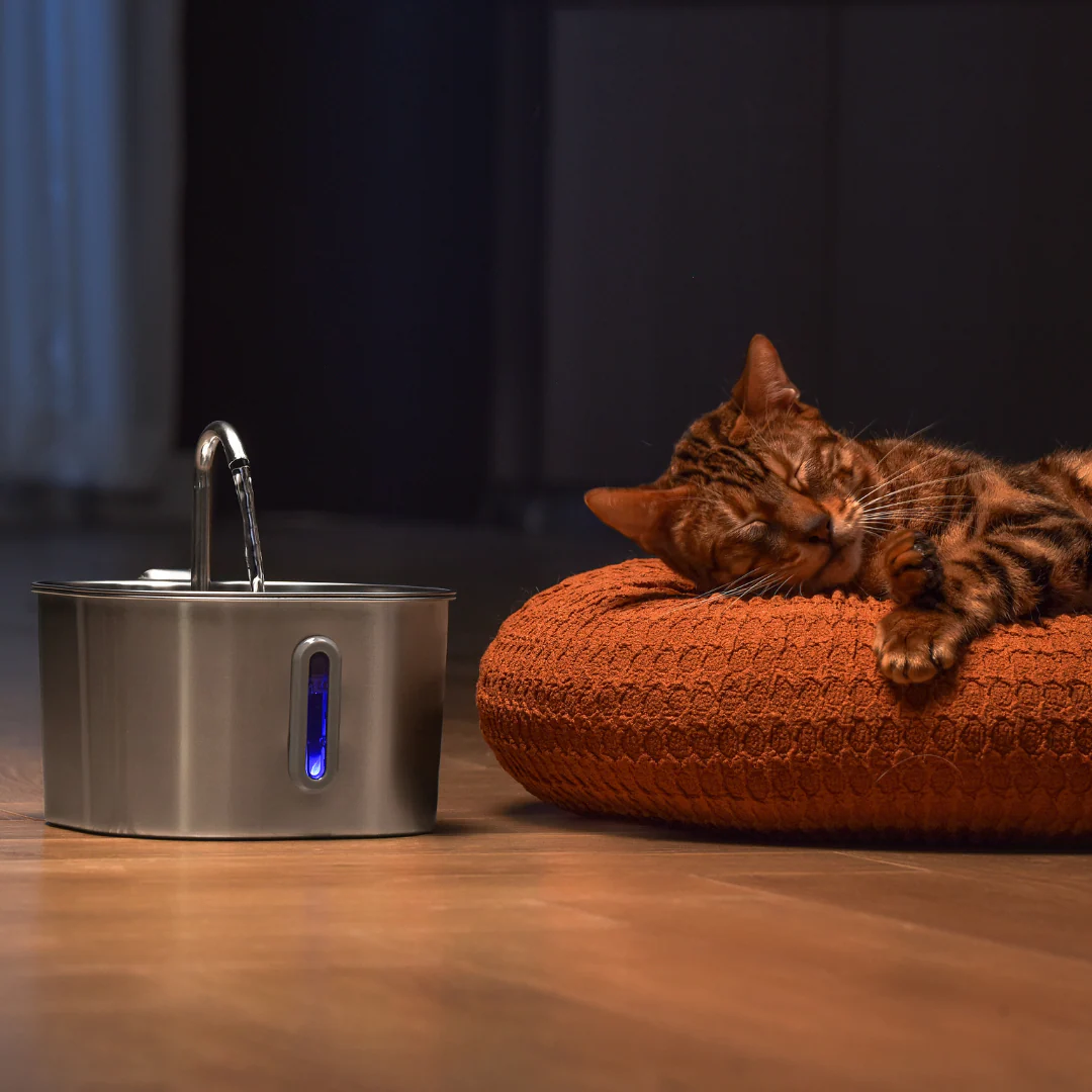 Like New The KittySpout - Health & Happiness Cat Kit (2.2L) - 4 Month: KittySpout + 8 filter sets + AC adapter + FREE gift - Image 8