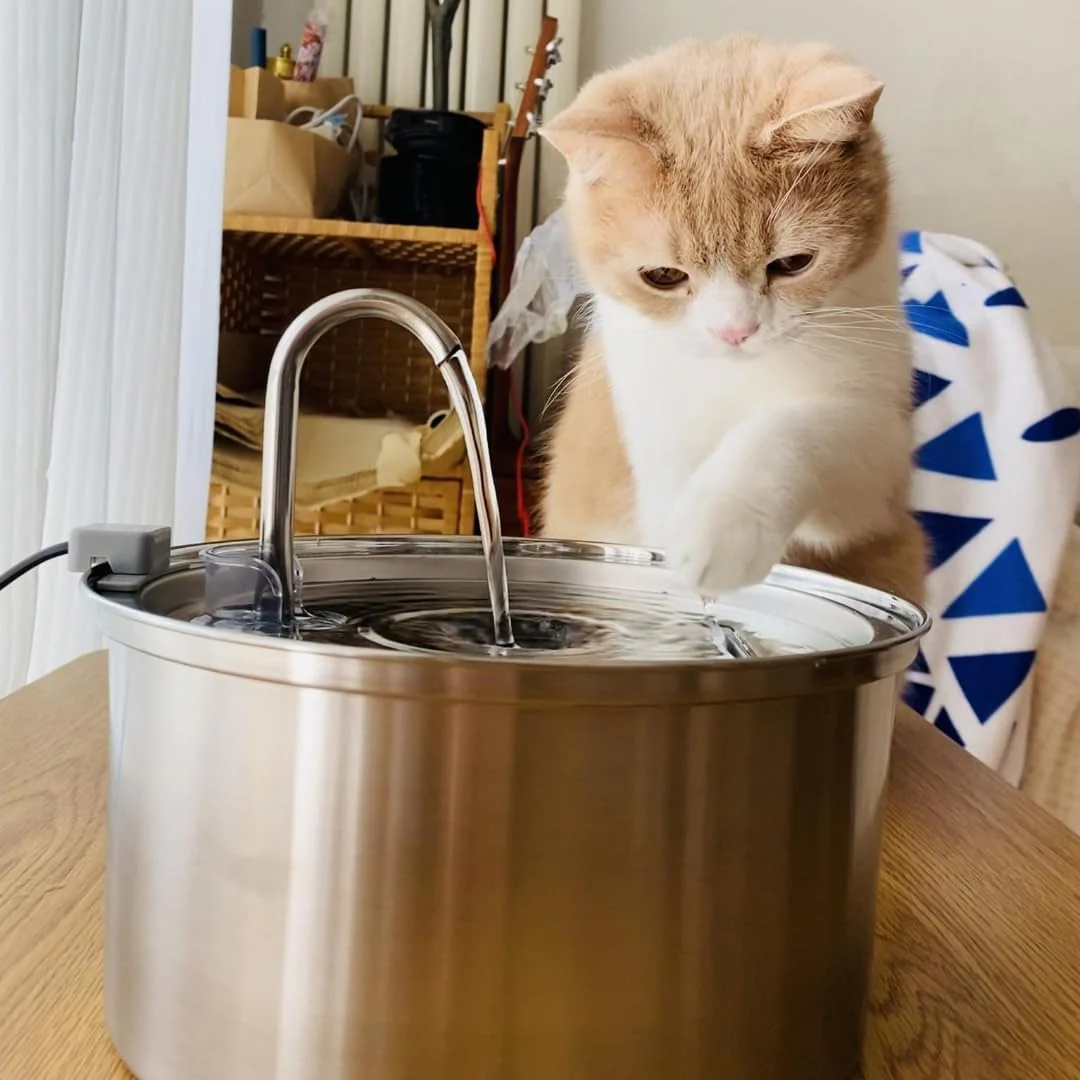 Like New KittySpout MFM001 Stainless Steel Cat Water Fountain, 3.2L - Image 2