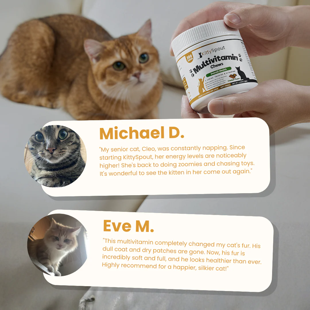KittySpout Multivitamin Chews - Image 9