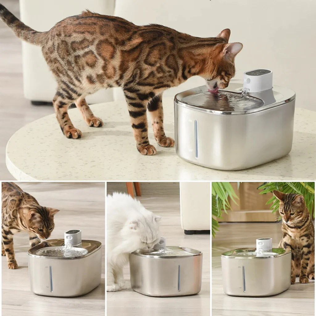 New The KittySpout - Wireless Fountain - 4 Month: Wireless KittySpout + 8 filter sets + free gift - Image 11
