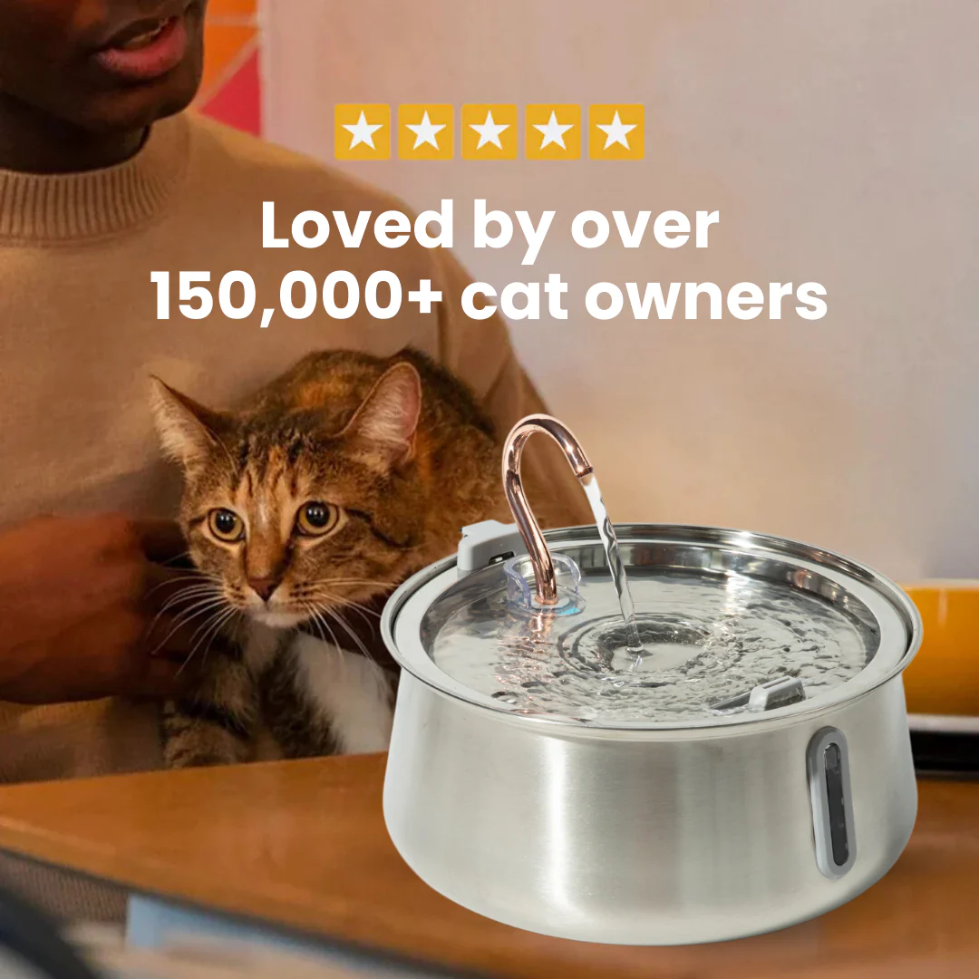 Pre-Owned The KittySpout 2.0 - Health & Happiness Cat Kit - 4 Month: KittySpout + 8 filter sets + AC adapter + FREE gift - Image 3