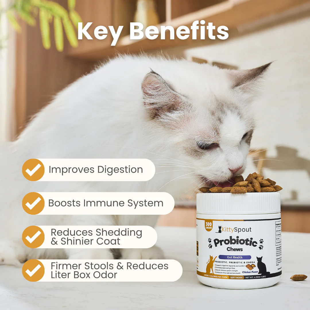 KittySpout Probiotic Chews - 30 Day Supply - Image 2