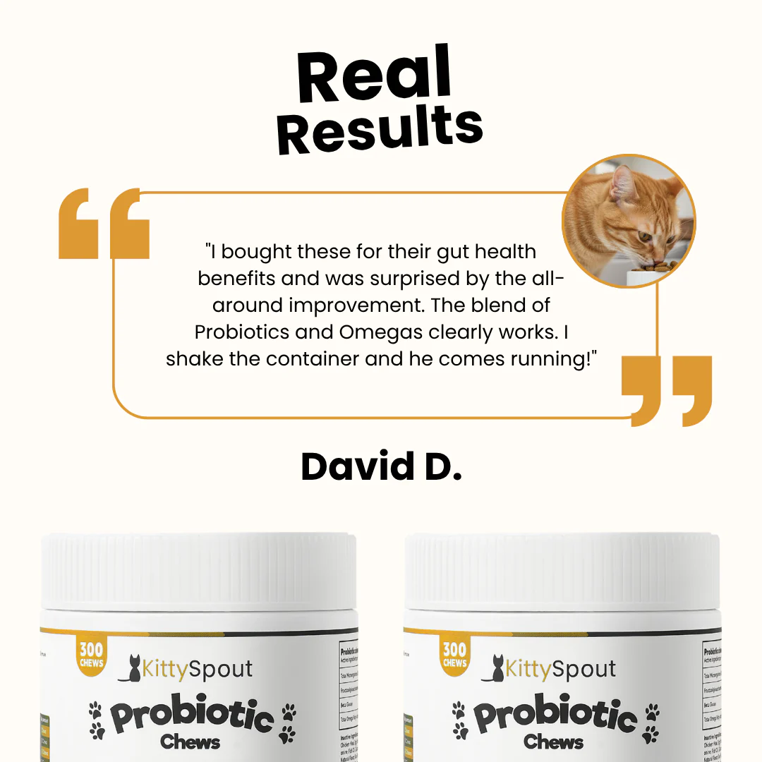 KittySpout Probiotic Chews - 30 Day Supply - Image 5