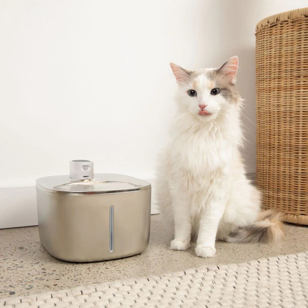 Refurbished The KittySpout - Wireless Fountain - 2 Month: Wireless KittySpout + 4 filter sets + free gift - Image 11