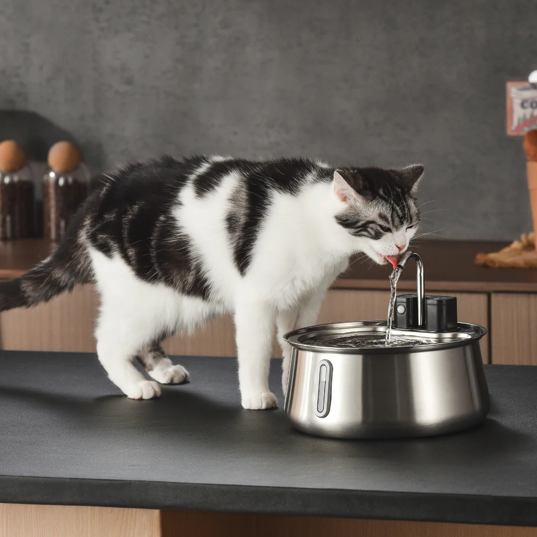 Refurbished The KittySpout - Wireless Fountain (Spout) - 4 Month: Wireless KittySpout + 8 filter sets + free gift - Image 6