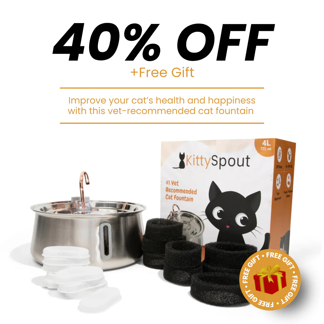 The KittySpout™ - Health & Happiness Cat Kit - Image 2
