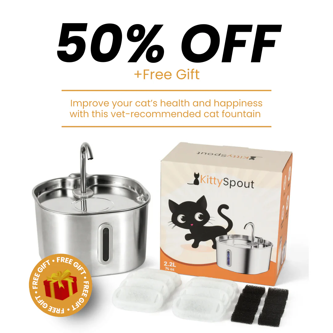 The KittySpout™ - Health & Happiness Cat Kit - Image 2