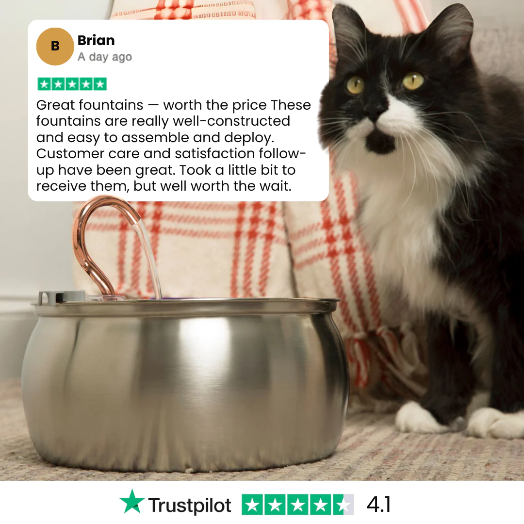 The KittySpout™ - Health & Happiness Cat Kit - Image 10