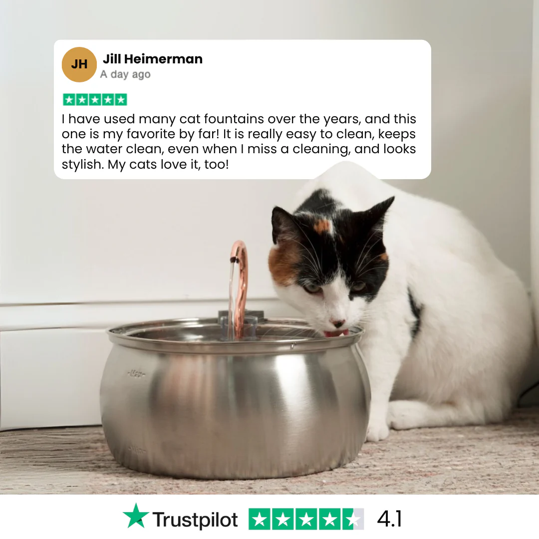 The KittySpout™ - Health & Happiness Cat Kit - Image 11