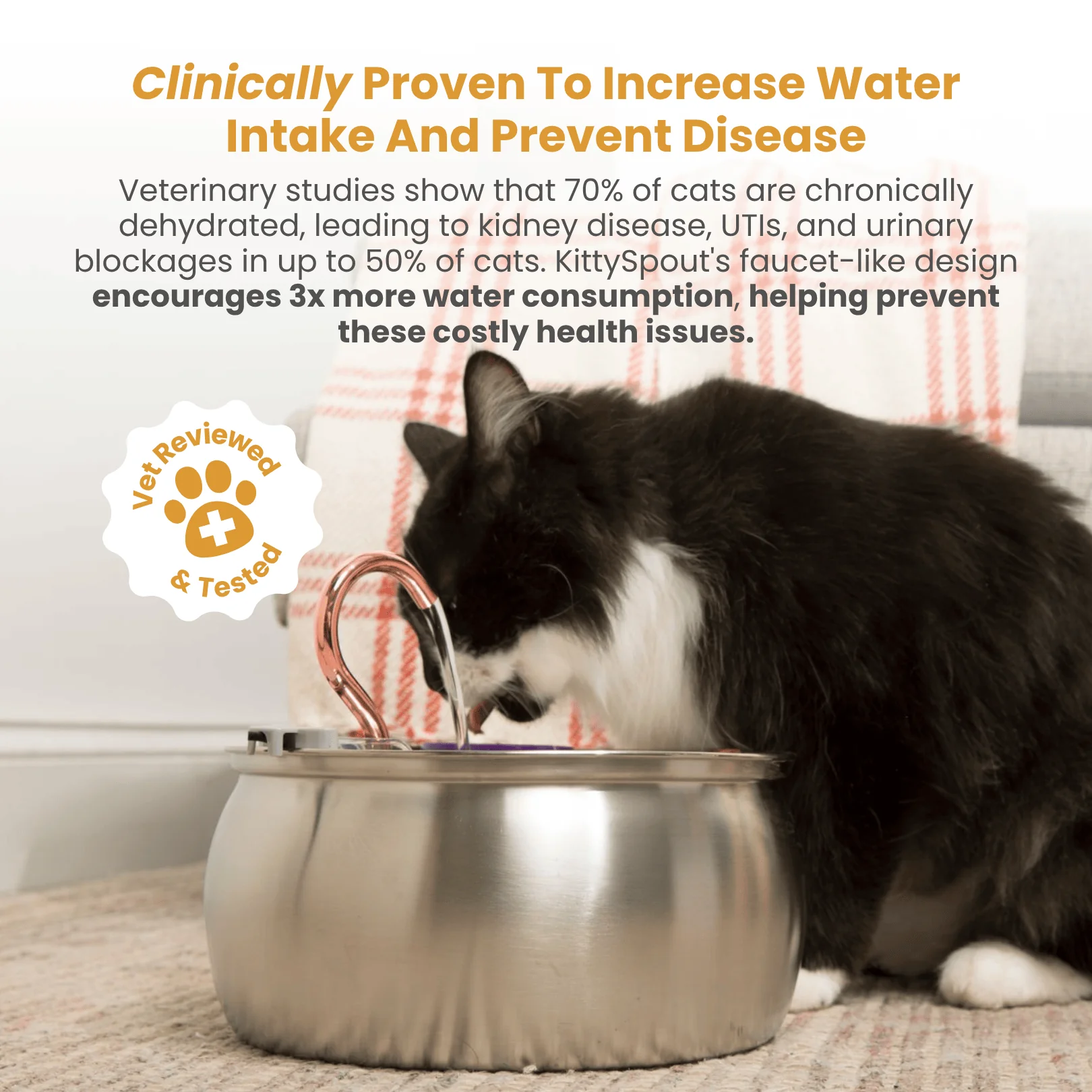 The KittySpout™ - Health & Happiness Cat Kit - Image 3