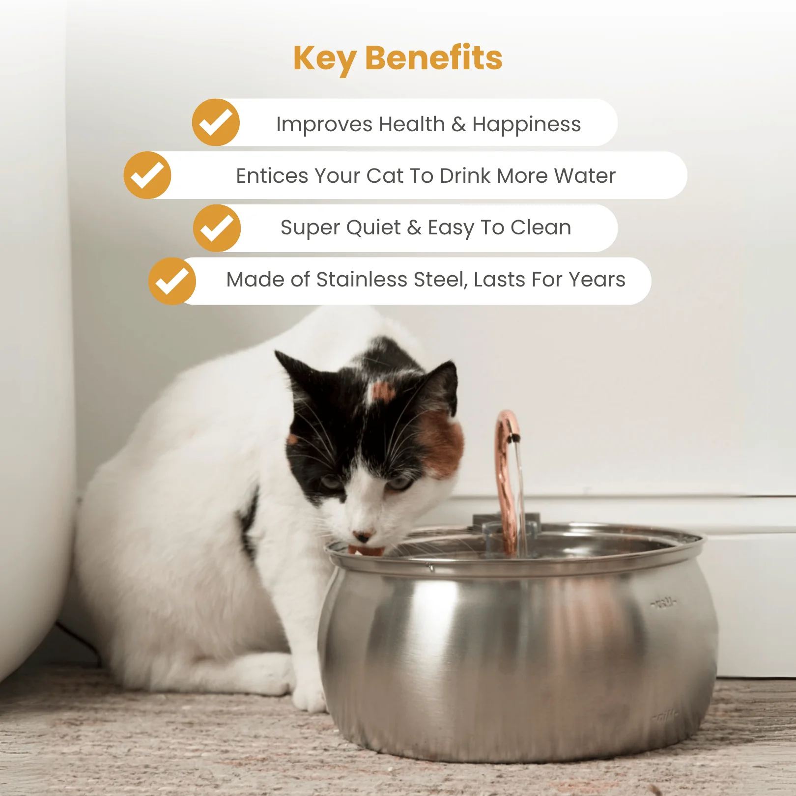 The KittySpout™ - Health & Happiness Cat Kit - Image 5