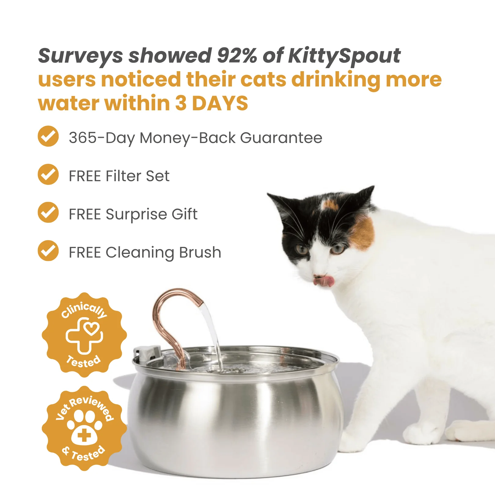 The KittySpout™ - Health & Happiness Cat Kit - Image 8