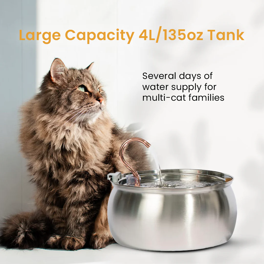 The KittySpout™ - Health & Happiness Cat Kit - Image 12