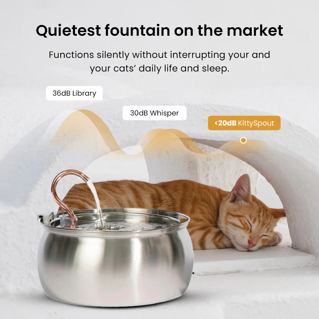 The KittySpout™ - Health & Happiness Cat Kit - Image 13