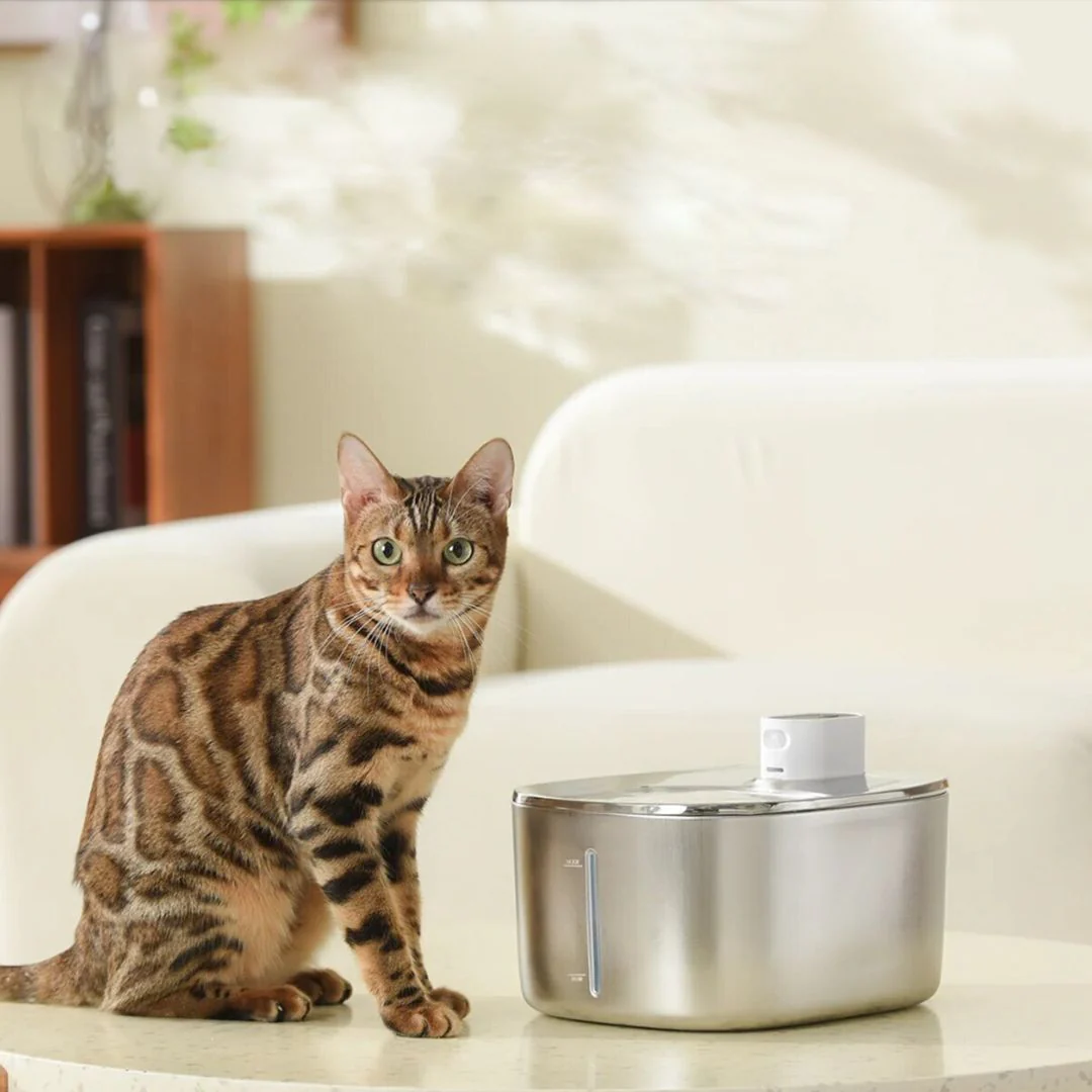 Wireless KittySpout Replacement Filters - Image 7