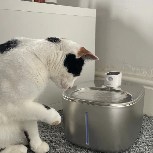 Wireless KittySpout™ - Water Pump - Image 4