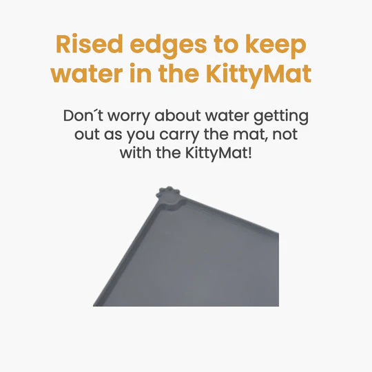 The Purrr-fect KittySpout Kit - Image 16